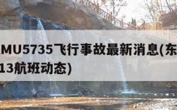 东航MU5735飞行事故最新消息(东航mu5713航班动态)