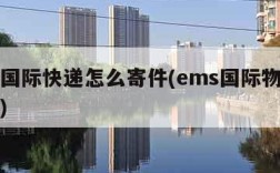 ems国际快递怎么寄件(ems国际物流怎么寄)