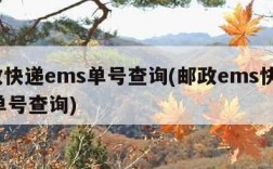 邮政快递ems单号查询(邮政ems快递100单号查询)