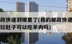 我的邮政快递到哪里了(我的邮政快递到哪里了查询拉肚子可以吃羊肉吗)