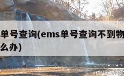 ems单号查询(ems单号查询不到物流信息怎么办)