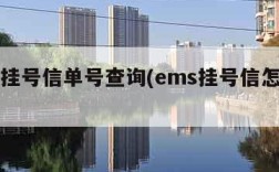 ems挂号信单号查询(ems挂号信怎么查询)