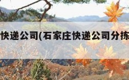 石家庄快递公司(石家庄快递公司分拣员招聘)