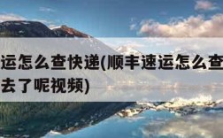 顺丰速运怎么查快递(顺丰速运怎么查快递掉到哪里去了呢视频)