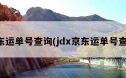 京东运单号查询(jdx京东运单号查询)