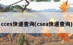 cces快递查询(csea快递查询)