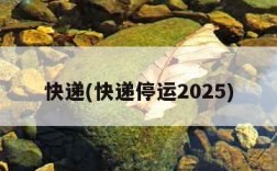 快递(快递停运2025)