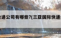 国际快递公司有哪些?(三亚国际快递公司有哪些)