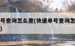 快递单号查询怎么查(快递单号查询怎么查不到信息)