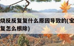 宝宝发烧反反复复什么原因导致的(宝宝发烧反反复复怎么根除)