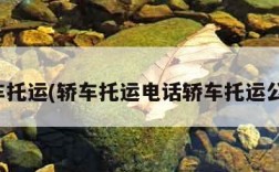 轿车托运(轿车托运电话轿车托运公司)