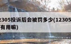 12305投诉后会被罚多少(12305投诉有用嘛)