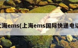 上海ems(上海ems国际快递电话)