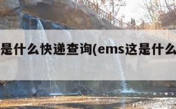 ems是什么快递查询(ems这是什么快递)