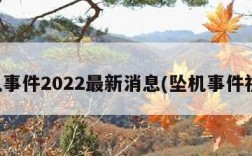 坠机事件2022最新消息(坠机事件视频)