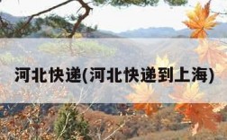 河北快递(河北快递到上海)