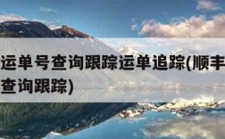 顺丰速运单号查询跟踪运单追踪(顺丰速运查询单号查询跟踪)