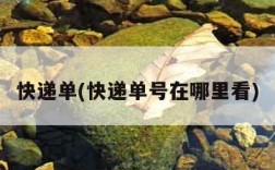 快递单(快递单号在哪里看)