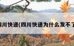 四川快递(四川快递为什么发不了)