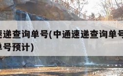 中通速递查询单号(中通速递查询单号查询 快递单号预计)