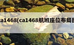 ca1468(ca1468航班座位布局图)