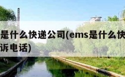 ems是什么快递公司(ems是什么快递公司投诉电话)