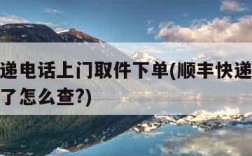 顺丰快递电话上门取件下单(顺丰快递上门取件下单了怎么查?)