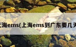 上海ems(上海ems到广东要几天)