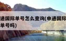 申通快递国际单号怎么查询(申通国际快递查号码查单号吗)