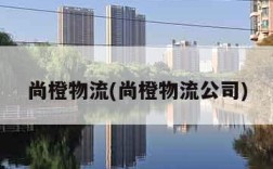 尚橙物流(尚橙物流公司)