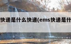 ems快递是什么快递(ems快递是什么东西)