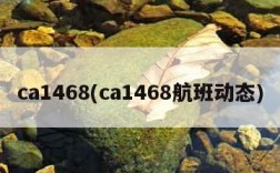 ca1468(ca1468航班动态)