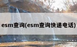 esm查询(esm查询快递电话)