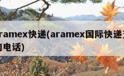 aramex快递(aramex国际快递查询电话)