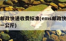 ems邮政快递收费标准(ems邮政快递多少钱一公斤)