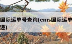 ems国际运单号查询(ems国际运单号查询快递)