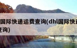 dhl国际快递运费查询(dhl国际快递收费查询)